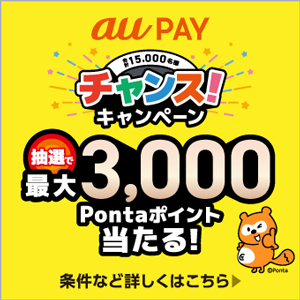 【要エントリー】ネット支払い感謝祭冬
