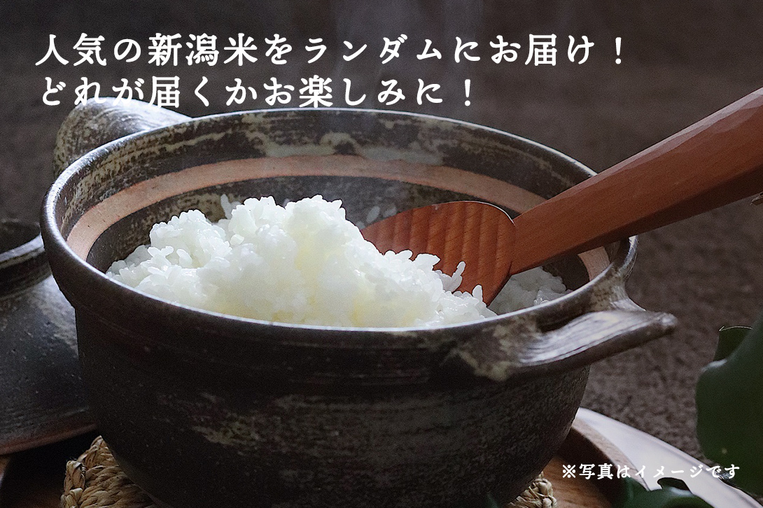 こめや丸七 新潟米 お楽しみ福袋セット5kg*2（合計10kg）【送料無料】