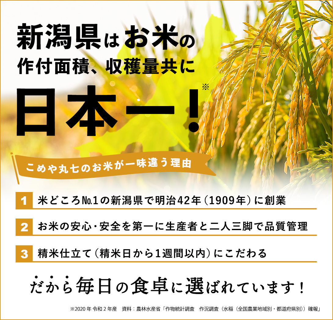 ギフト　こめや丸七　令和4年産>こめや丸七　2022年産　新潟米　お楽しみ福袋セット5kg*2（合計10kg）　プレゼント　食べ比べ